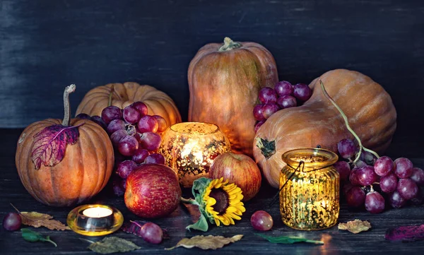 Beautiful Pumpkin Dark Brown Background Harvest Pumpkins Soft Focus — Stock Photo, Image