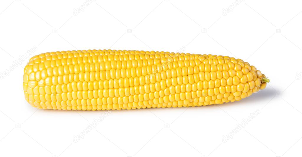 cob corn isolated on white background