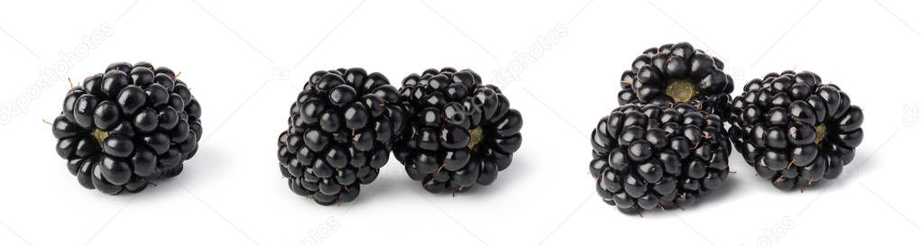 blackberry isolated on white background