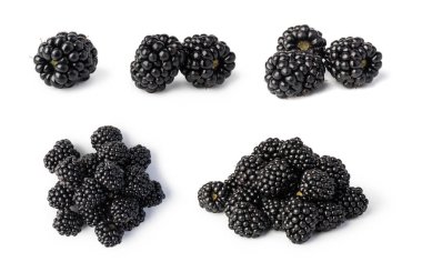 Blackberry beyaz arkaplanda izole edildi