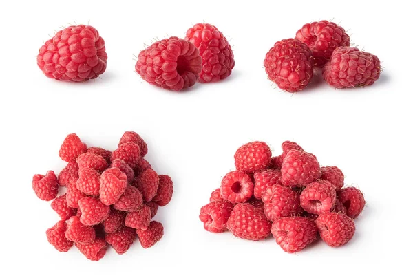 Ripe Raspberry Isolated White Background — Stock Photo, Image