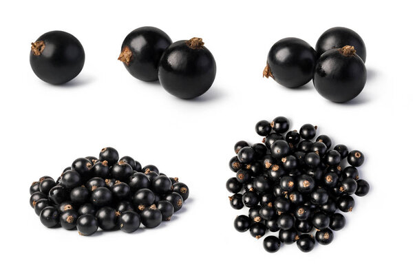 Black currant isolated on white background