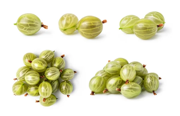 Gooseberry Isolated White Background — Stock Photo, Image