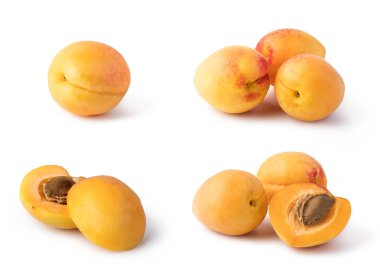 Beyaz arka plan üzerinde izole kayısı meyve seti