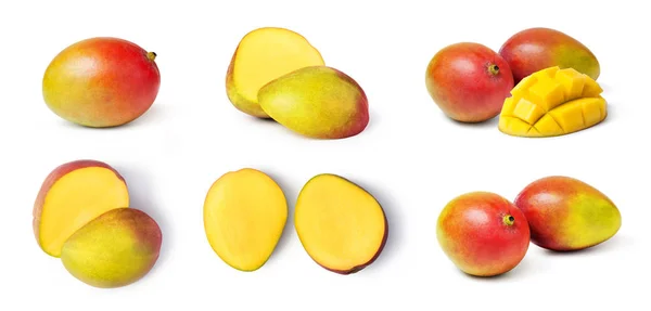 Mango Fruit Set Isolated White Background — Stock Photo, Image