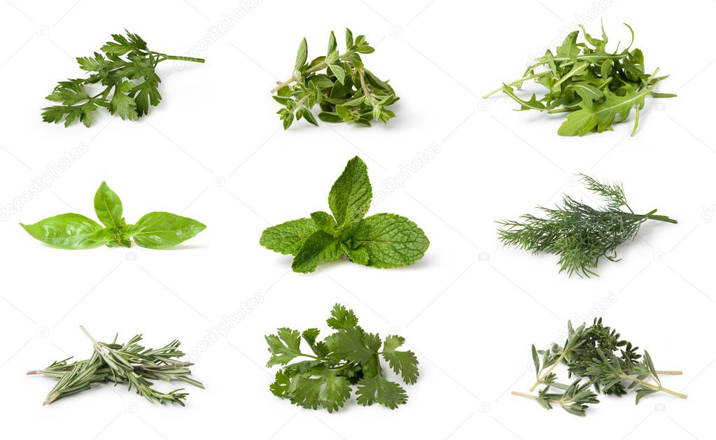 Fresh spices and herbs isolated on white background