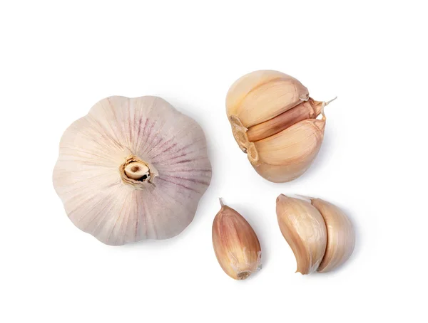 Knoblauch Isoliert Auf Weißem Hintergrund — Stockfoto