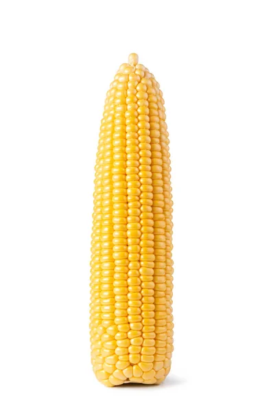 Cob Corn Isolated White Background — Stock Photo, Image