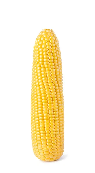 Cob Corn Isolated White Background — Stock Photo, Image