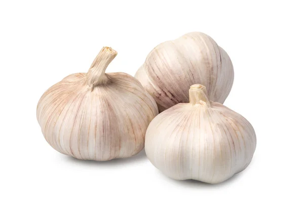 Garlic — Stock Photo, Image