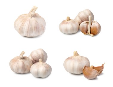 Beyaz arkaplanda sarımsak