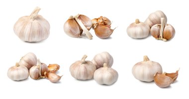 Beyaz arkaplanda sarımsak