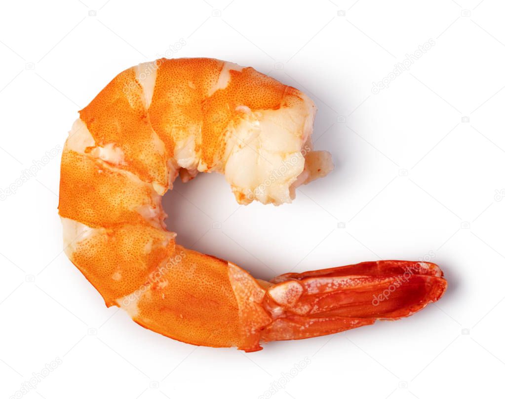 shrimp