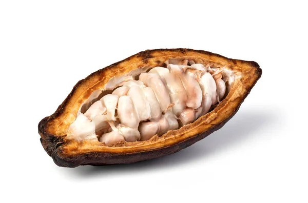 Vaina de cacao sobre un fondo blanco — Foto de Stock