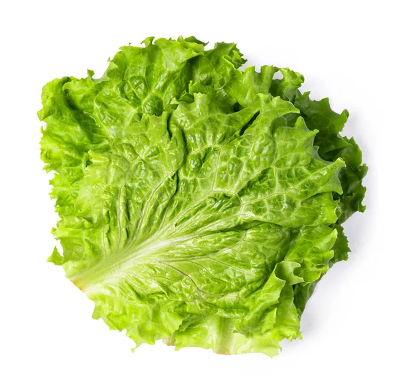 Lettuce Leaf — Stock Photo, Image