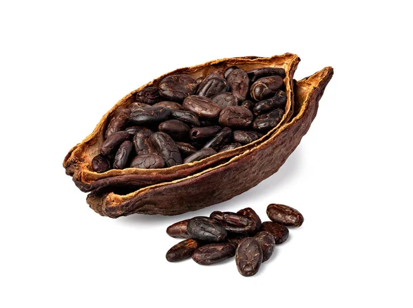 Kakao kapsülü — Stok fotoğraf