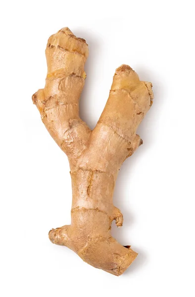 Fresh ginger — Stock Photo, Image