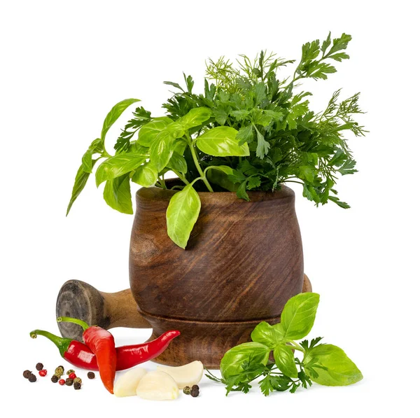 Fresh spices and herbs in mortar — Stock Photo, Image