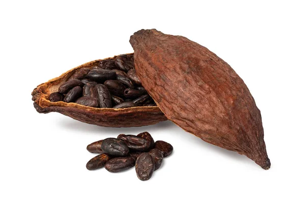 Cabillaud de cacao — Photo