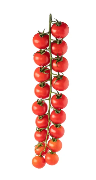 Wiśniowe Pomidory Oddział Białym Tle — Zdjęcie stockowe