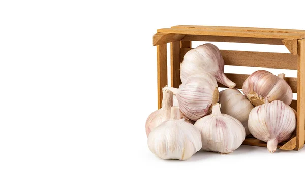 Knoblauch Isoliert Auf Weißem Hintergrund — Stockfoto