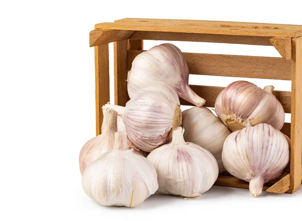 Knoblauch Isoliert Auf Weißem Hintergrund — Stockfoto