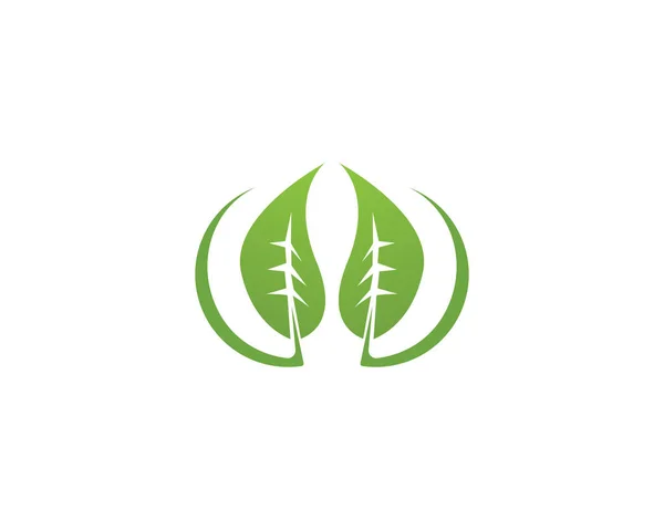 Natureza Folha Ícone Logotipo Tremplate — Vetor de Stock