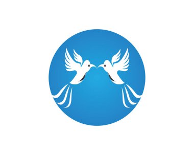Güvercin kuş simgesi logo vektör