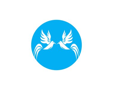 Güvercin kuş simgesi logo vektör