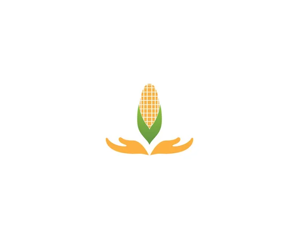 Вектор Дизайна Логотипа Кукурузы — стоковый вектор