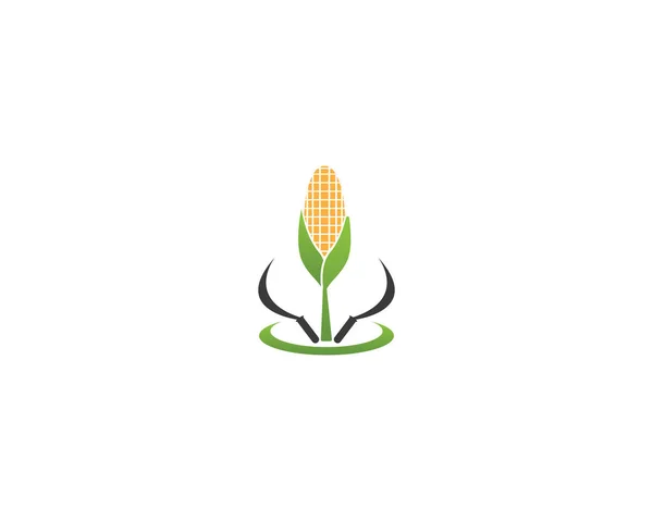 Icône Maïs Logo Vecteur Conception — Image vectorielle