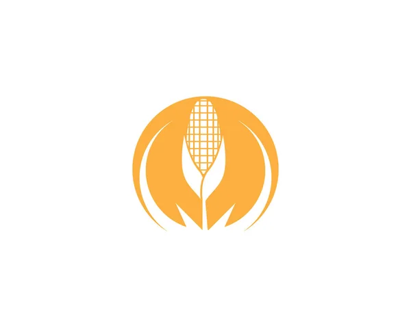 Icône Maïs Logo Vecteur Conception — Image vectorielle