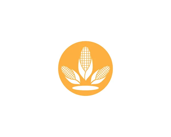 Ícone Milho Vetor Design Logotipo — Vetor de Stock