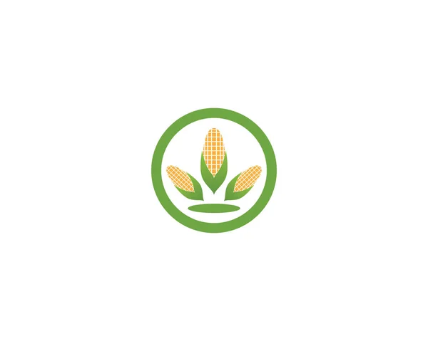 Icono Maíz Logo Diseño Vector — Archivo Imágenes Vectoriales