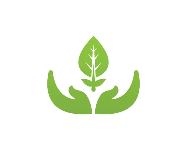 Logotipos Folha Verde Ecologia Elemento Natureza Vetor Ícone — Vetor de Stock