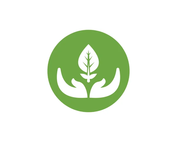Логотипы Экологии Зеленых Листьев — стоковый вектор