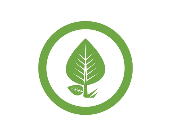 Symbol Přírodní Rostliny Ilustrace — Stockový vektor