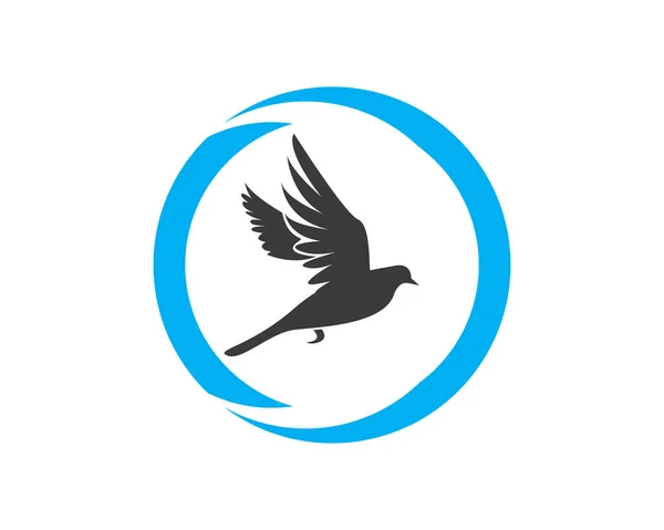 Vogel Logo Vektor Fliegender Vogel Logo Design Vektor Vorlage Taube — Stockvektor