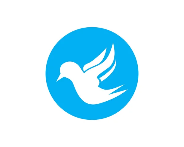 Vecteur Logo Oiseau Modèle Vectoriel Conception Logo Oiseau Volant Colombe — Image vectorielle