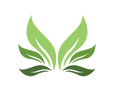 Yeşil yaprak doğa ekoloji simgesi ve sembol vektör illüstrasyon