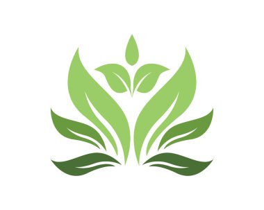 Yeşil yaprak doğa ekoloji simgesi ve sembol vektör illüstrasyon