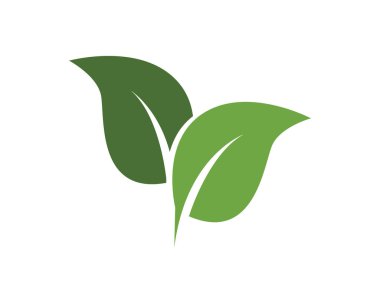 Yeşil yaprak doğa ekoloji simgesi ve sembol vektör illüstrasyon