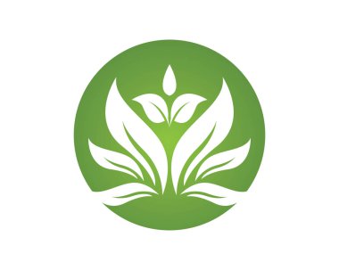 Yeşil yaprak doğa ekoloji simgesi ve sembol vektör illüstrasyon