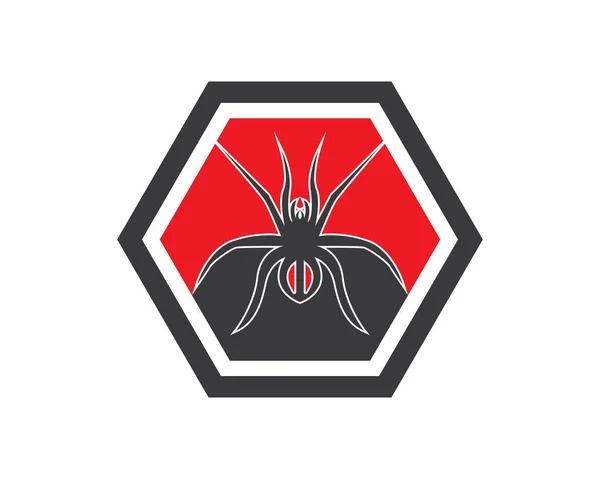 Spider Icon Symbol Vector Illustration — Stock Vector
