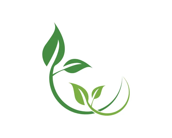 Зелене Листя Природа Екологія Значок Символ Векторні Ілюстрації — стоковий вектор