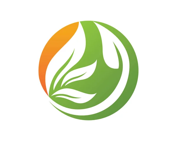 Grüne Blatt Natur Ökologie Symbol Und Symbol Vektor Illustration — Stockvektor
