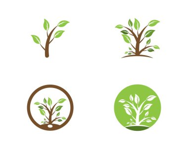 Biçimlendirilmiş ağaç simgesi kavramı