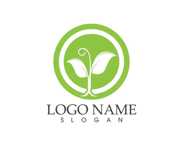 Nature Leaf Icon Sign Logo — Stock Vector