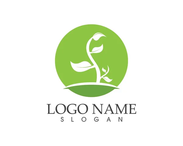 Nature Leaf Icon Sign Logo — Stock Vector