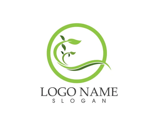 Doğa Yaprağı Simgesi Simgesi Logosu — Stok Vektör